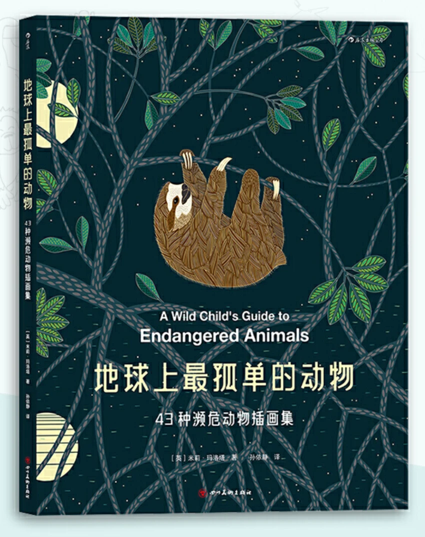 篮球基础训练儿童教案_1